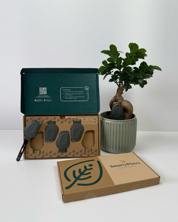 Indoor jungle pack - 5 Sensor bundle