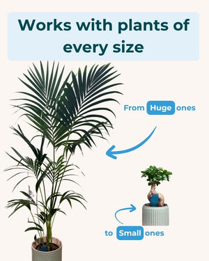 Indoor jungle pack - 5 Sensor bundle