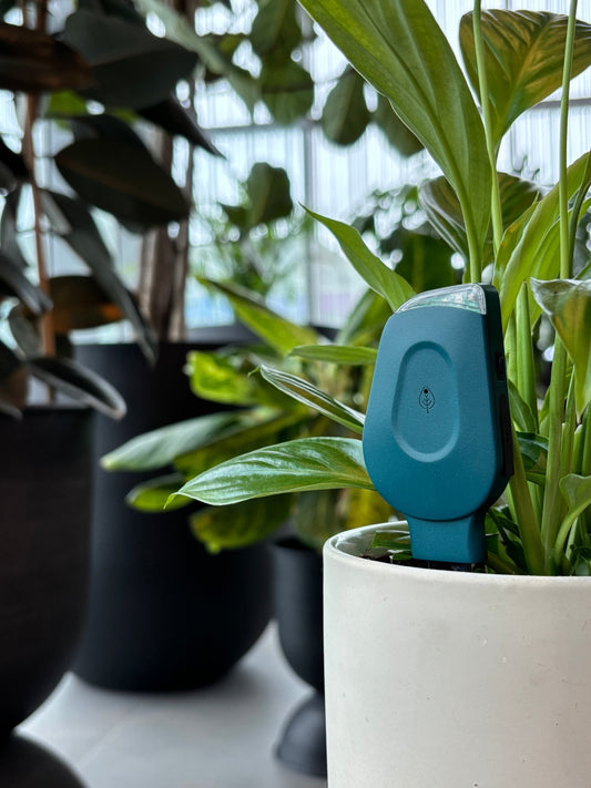 Botanical Boss - 10 Sensor bundle | Gardeners World special offer!